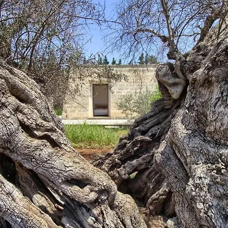 Farm stay Oliveto Politi