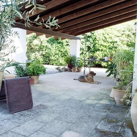 Oliveto Politi Farm stay *