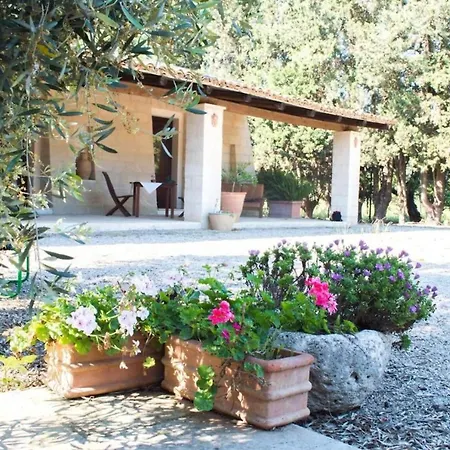 Oliveto Politi