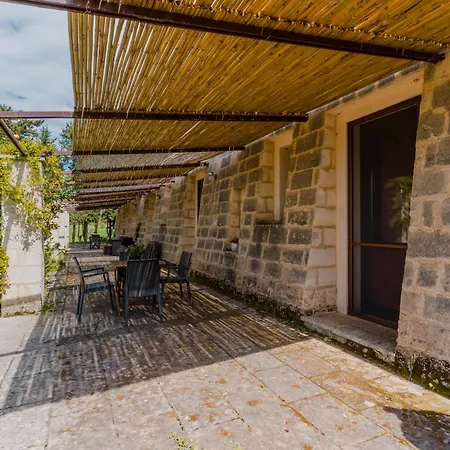 Oliveto Politi Casarano